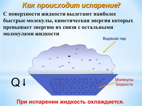 Как предотвратить испарение