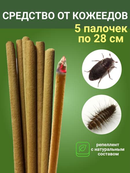 Как предотвратить появление кожеедов в доме