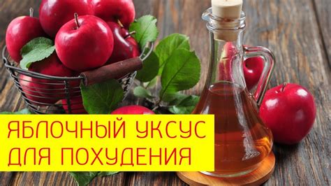 Как принимать яблочный уксус для максимального эффекта похудения