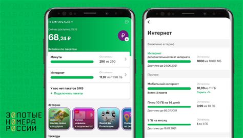 Как проверить количество и остаток гигабайтов в Мегафоне