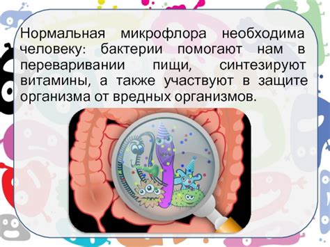 Как проверить состояние микрофлоры перед отказом от презервативов