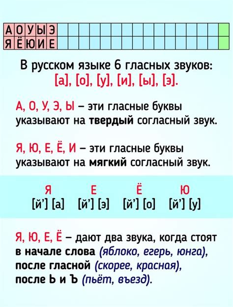 Как проводится фонетический разбор в 5 классе