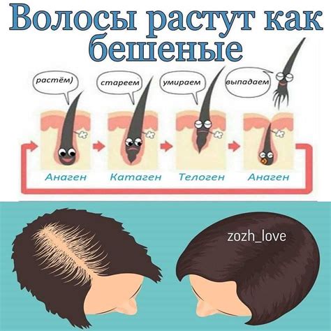 Как проникновение краски в кожу головы влияет на структуру волос