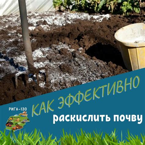 Как раскислить почву