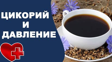 Как снизить давление с помощью цикория