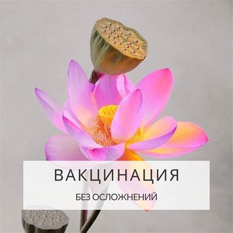 Как снизить риск после прививки при прогулках