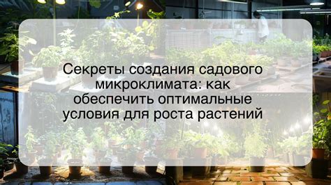 Как создать оптимальные условия для успешного цветения растений