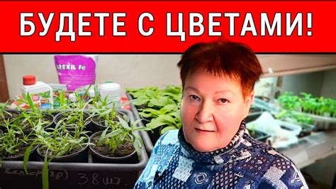 Как уберечь от вредителей