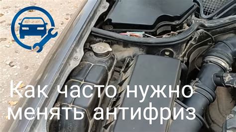 Как часто менять антифриз в автомобиле Киа Рио