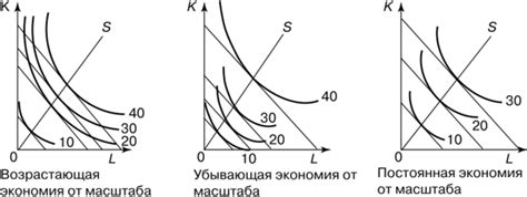Как экономия от масштаба влияет на производительность