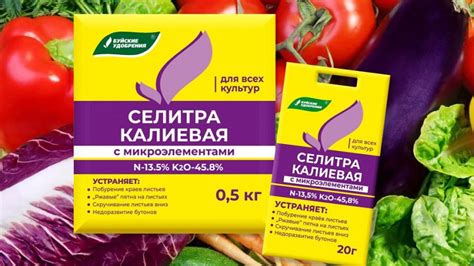 Калиевая селитра для томатов: руководство по использованию