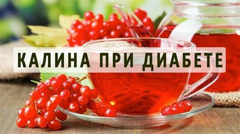 Калина и сахарный диабет: основные аспекты