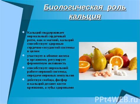 Кальций и его важная роль в питании кроликов