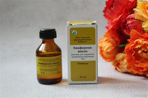 Камфорное масло: состав и свойства
