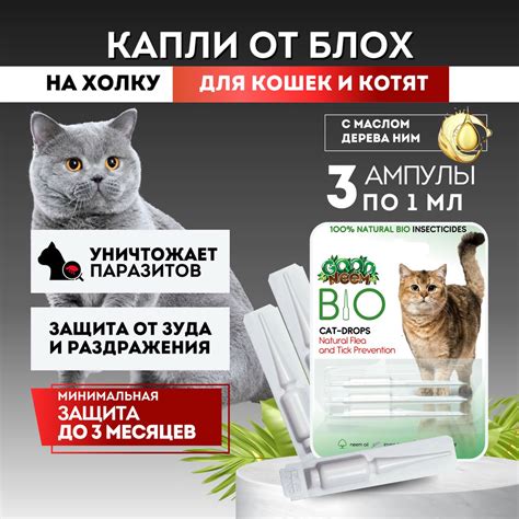 Капли от блох для кошек: эффективное средство