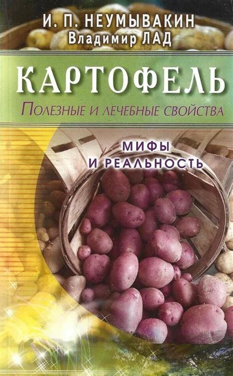 Картофель в питании: полезные свойства и рацион
