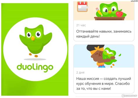 Катайся на верблюде с Duolingo и осваивай новый язык с удовольствием!