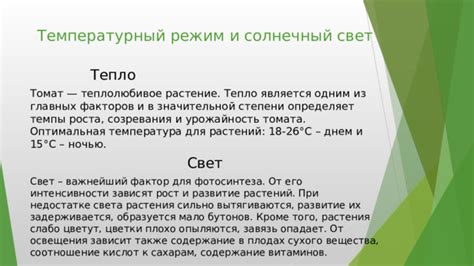Качественный свет и тепло активизируют рост