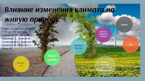 Климатические условия и биоразнообразие