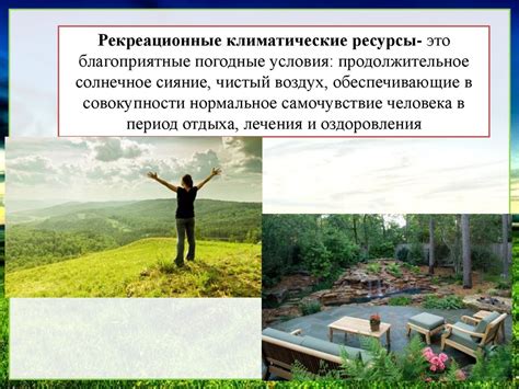 Климатические условия и влияние на рост