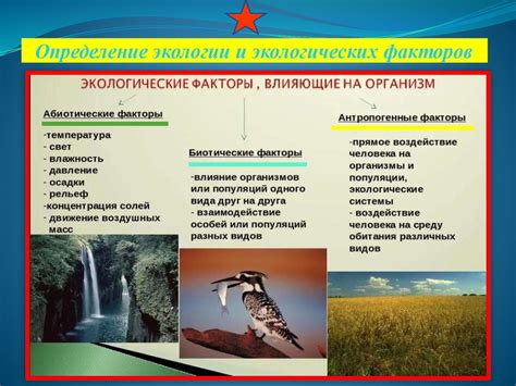 Климатические условия и живые организмы: влияние и зависимость