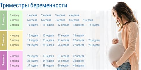 Ключевые признаки готовности к беременности