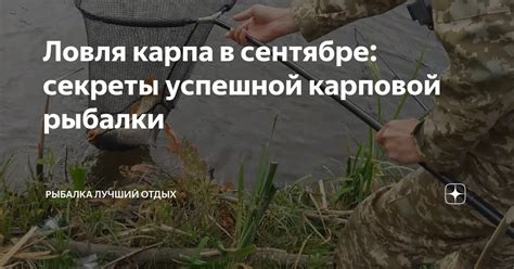 Ключевые секреты успешной рыбалки карпа в сентябре