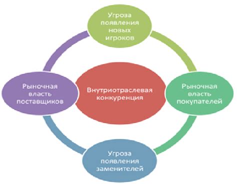 Ключевые факторы появления новых коллекций в магазинах