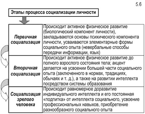 Ключевые этапы первичной социализации