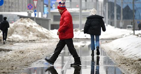 Кобели и метание: важно знать, когда ожидать окончания