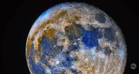 Когда выбирать время для пересадки