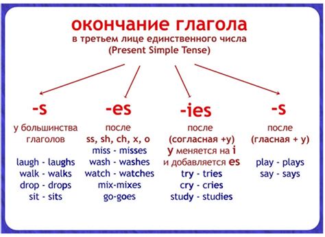 Когда добавлять окончание es: