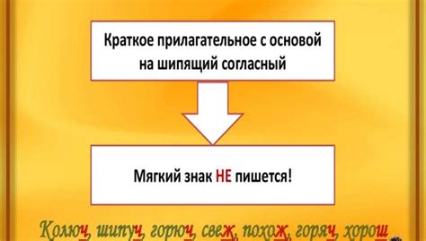 Когда использовать мягкий знак в прилагательных