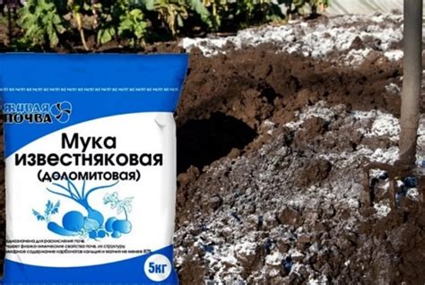 Когда и как правильно вносить доломитовую муку на газон