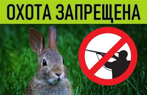 Когда можно охотиться весной