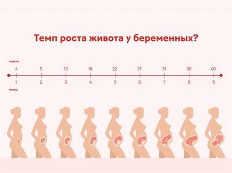 Когда начинается родовая деятельность у беременной женщины