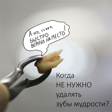 Когда нужно удалять шипицу