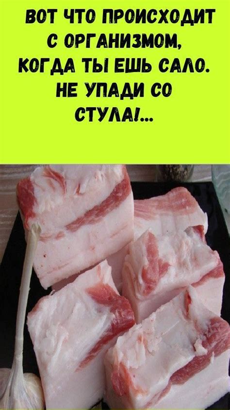Когда сало не рекомендуется старикам: