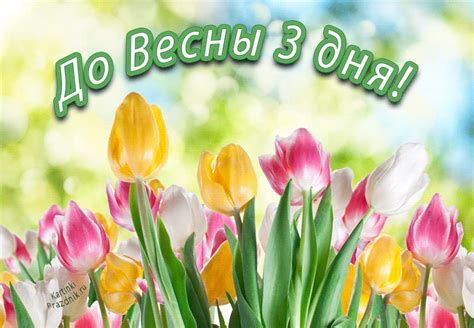 Количество дней до весны: узнайте точную дату!