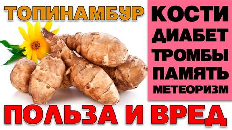 Кому стоит покупать топинамбур