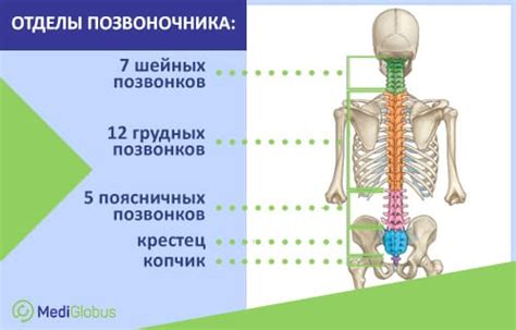 Консервативное лечение межпозвоночной грыжи