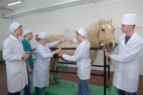Контроль здоровья и ветеринарные мероприятия