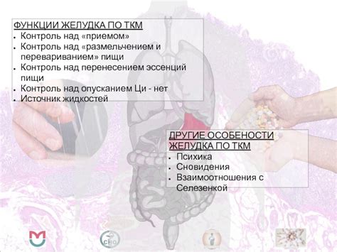 Контроль над приемом антибиотиков: советы по употреблению