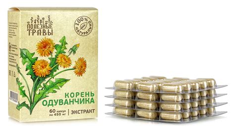 Корень одуванчика: покупка в аптеке, уникальные преимущества, богатое применение
