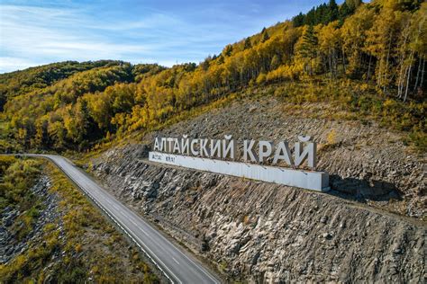 Кормовая база синичек в Алтайском крае
