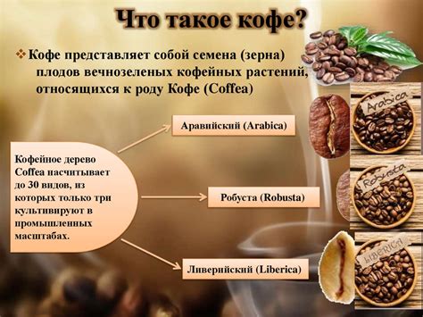 Кофеин и его влияние на детский организм