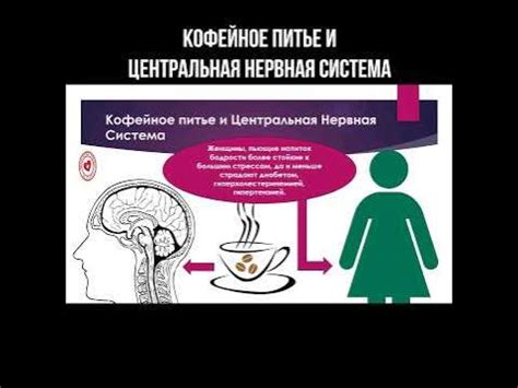 Кофе и центральная нервная система