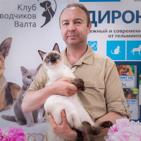 Кошки Пензы: выставка 2022 г. - место, время и программа