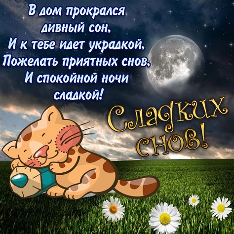 Красивые фразы для доброй ночи в sms