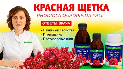 Красная щетка: польза и применение для женщин